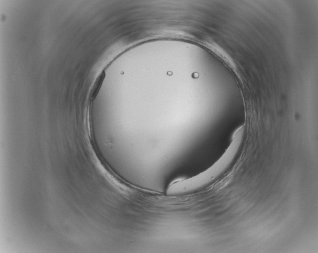 X0000073901391200609082137