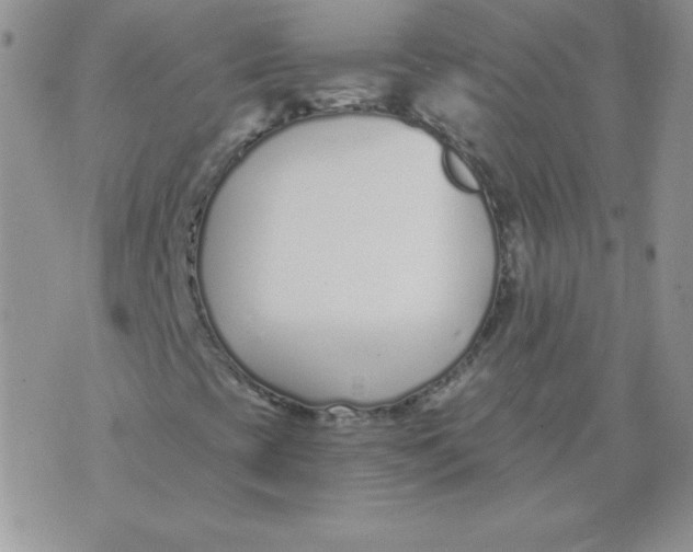 X0000073901393200609082136