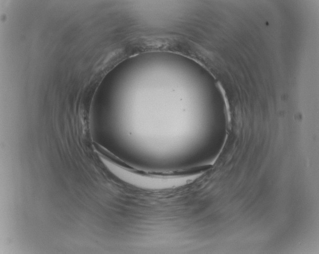 X0000073901394200609082136