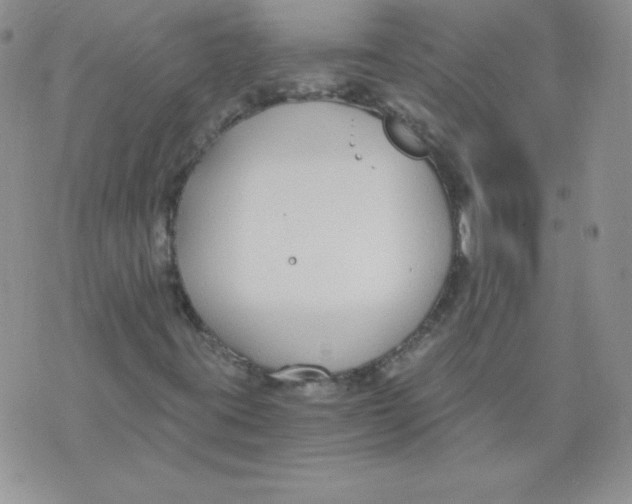 X0000073901395200609082136