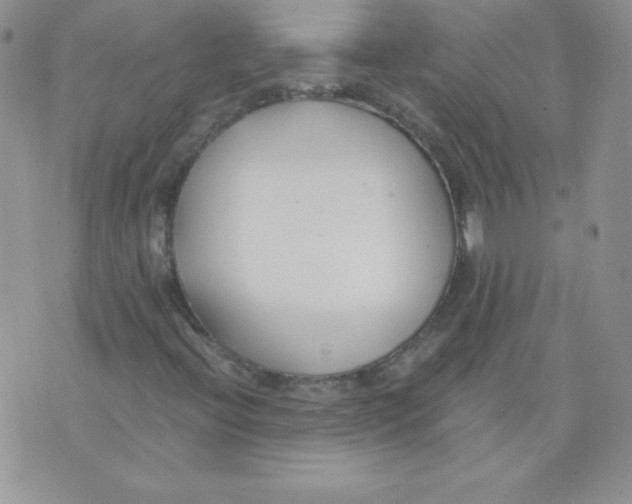 X0000073901396200609082136