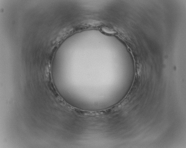 X0000073901397200609082136