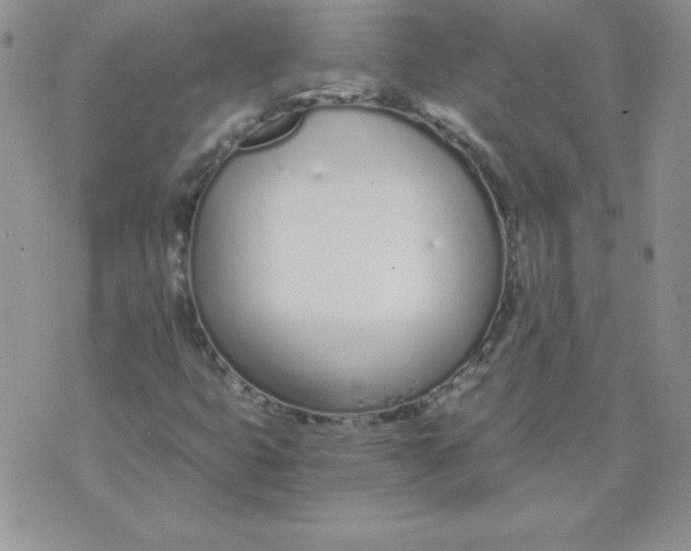 X0000073901399200609082136