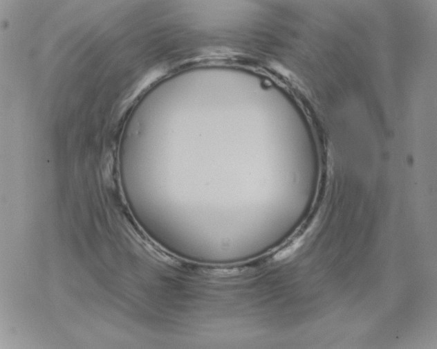 X0000073901401200609082136