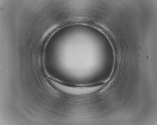 X0000073901402200609082136