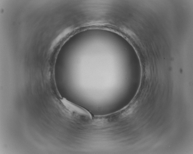 X0000073901406200609082136