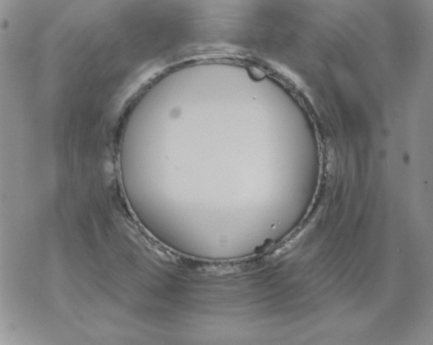 X0000073901407200609082136