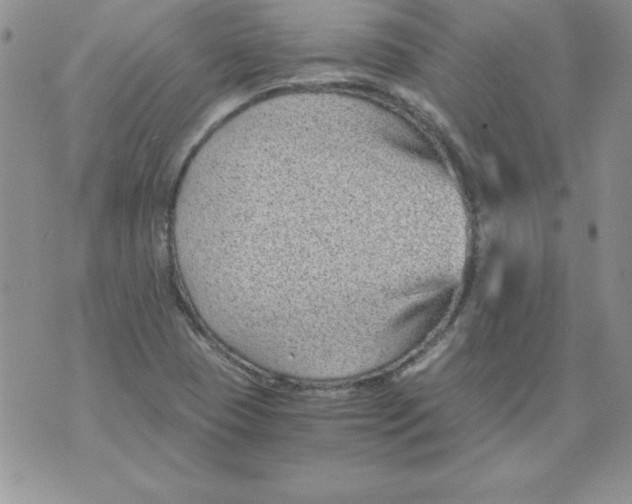 X0000073901409200609082136