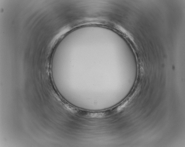 X0000073901411200609082136