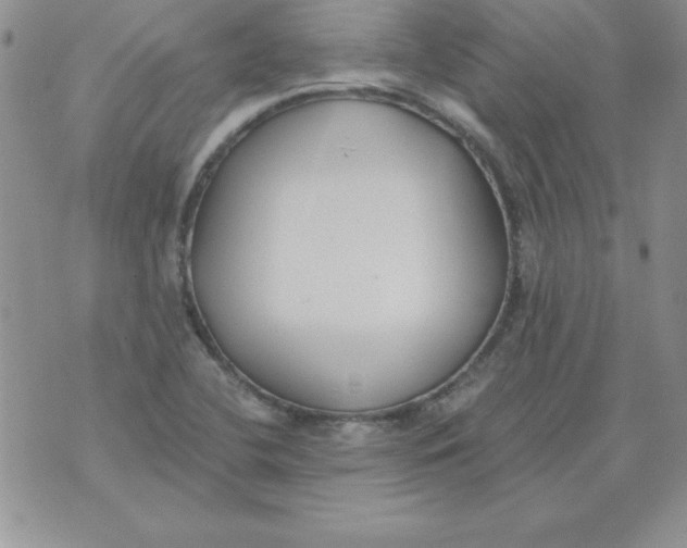 X0000073901412200609082136