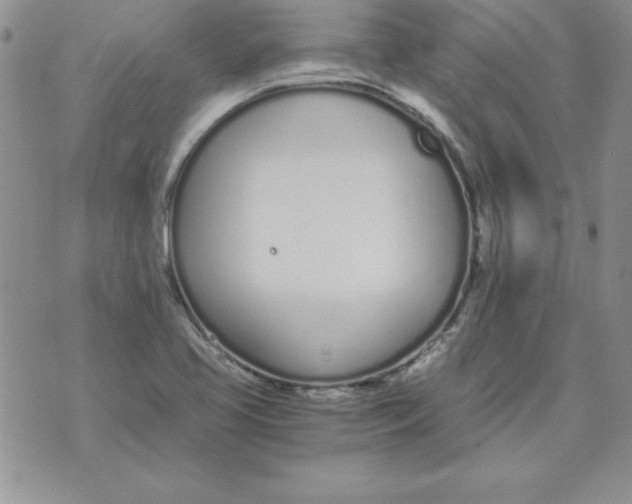 X0000073901413200609082136