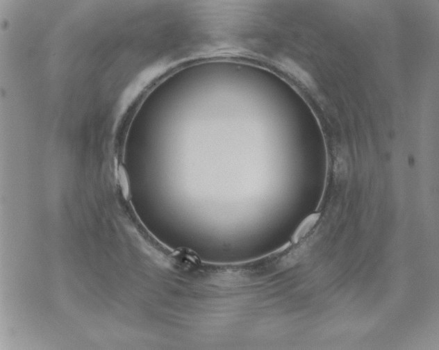 X0000073901414200609082136