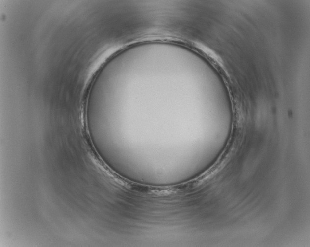 X0000073901415200609082136