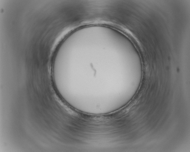 X0000073901416200609082136