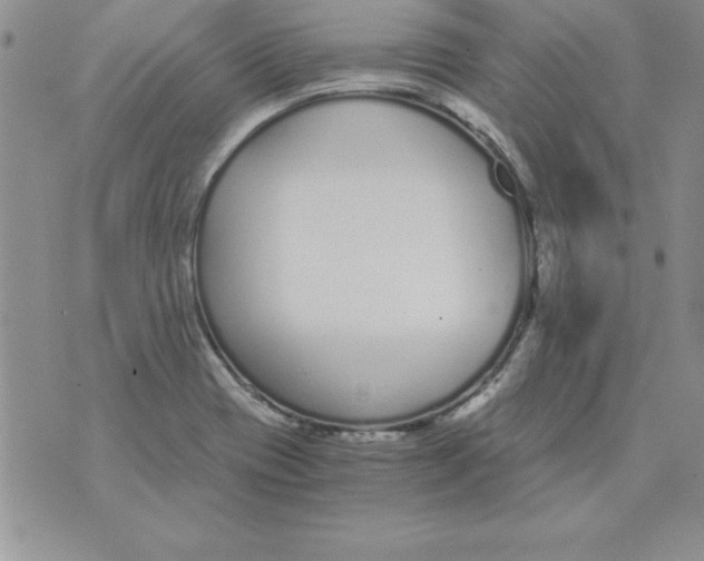 X0000073901417200609082136