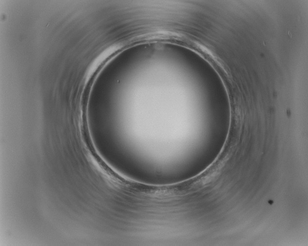 X0000073901418200609082136