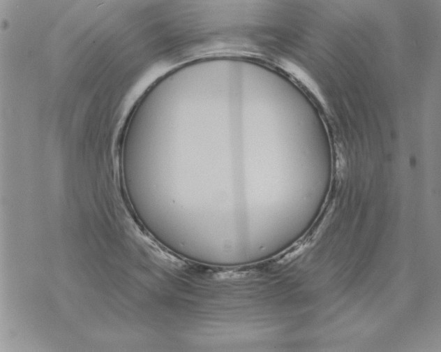 X0000073901419200609082136