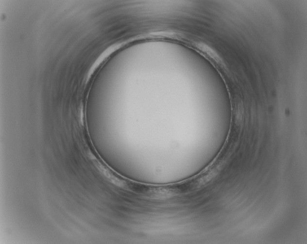 X0000073901420200609082136