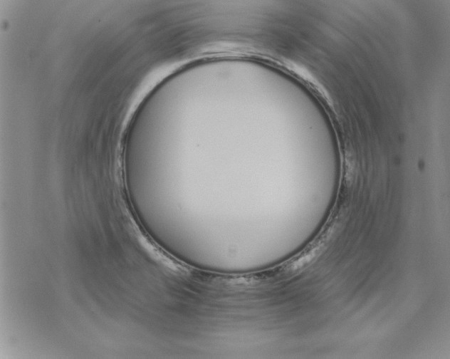 X0000073901421200609082136