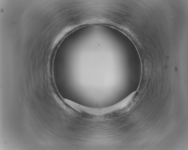 X0000073901422200609082136