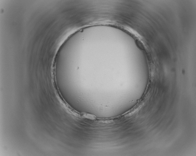 X0000073901423200609082136