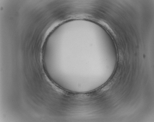 X0000073901424200609082136