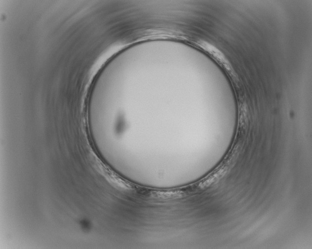 X0000073901427200609082136