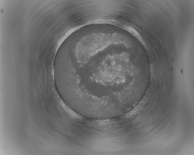 X0000073901428200609082136