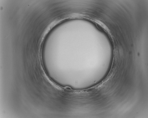 X0000073901429200609082136