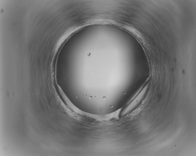 X0000073901430200609082137