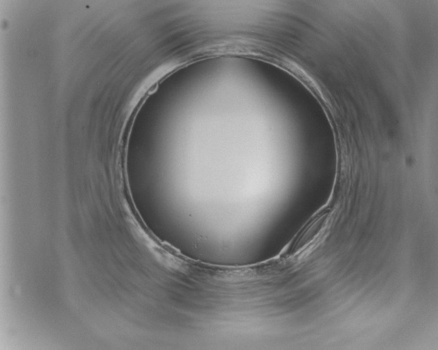 X0000073901434200609082137