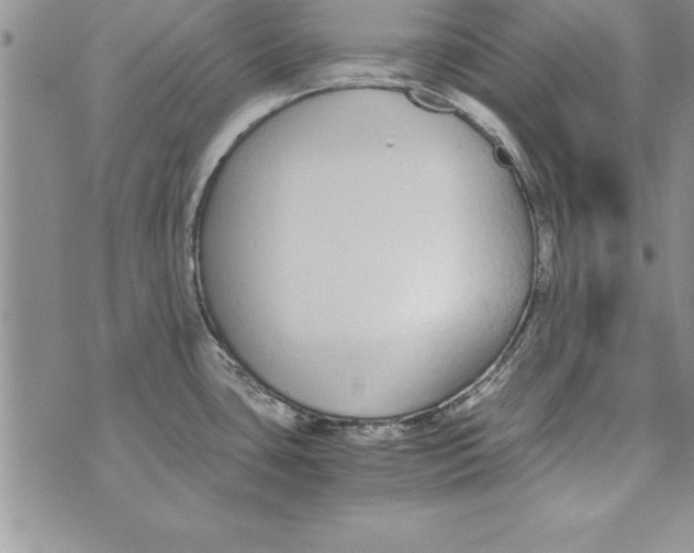 X0000073901435200609082137