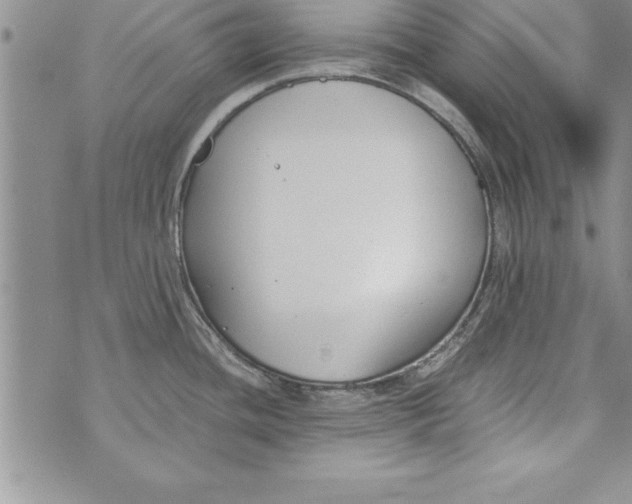 X0000073901436200609082137