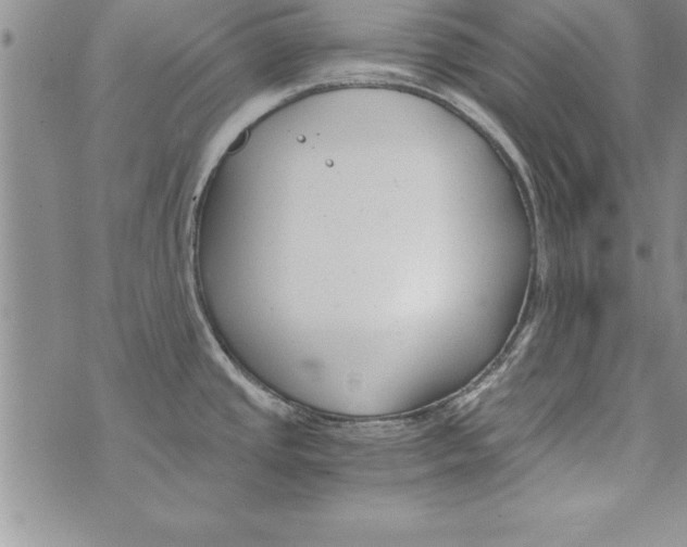 X0000073901437200609082137