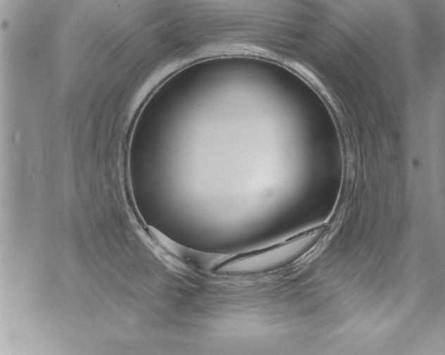 X0000073901438200609082137