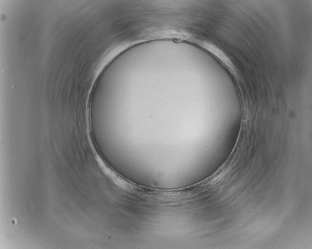 X0000073901439200609082137