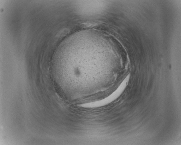 X0000073901441200609082136