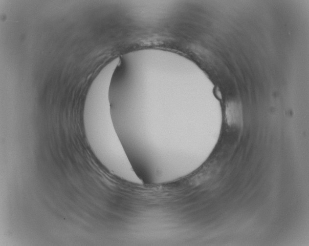 X0000073901444200609082136