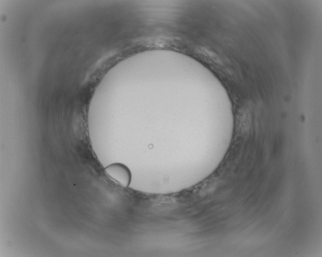 X0000073901446200609082136