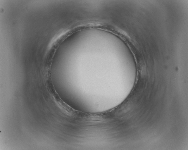 X0000073901448200609082136