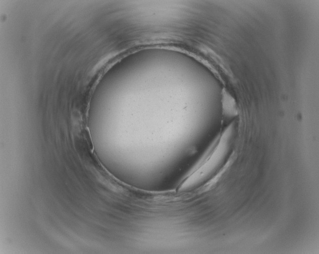 X0000073901449200609082136