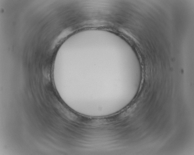 X0000073901451200609082136