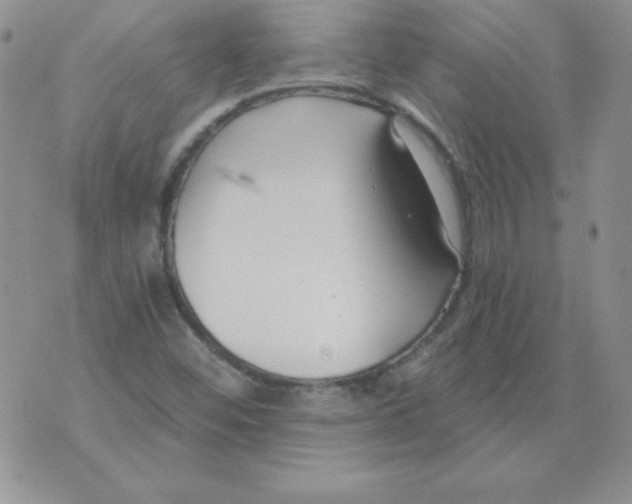 X0000073901452200609082136