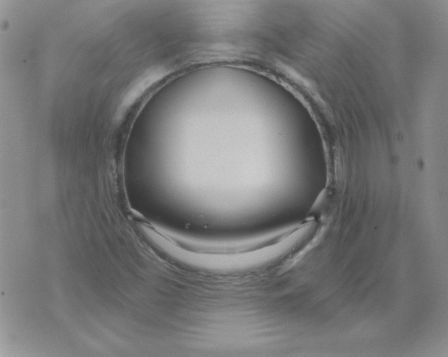 X0000073901453200609082136