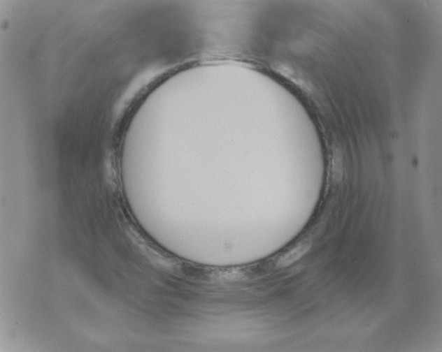 X0000073901454200609082136