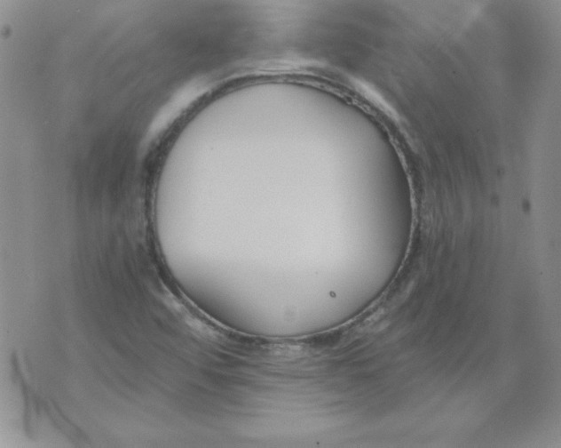 X0000073901456200609082136