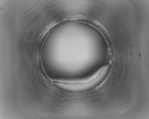 X0000073901457200609082136