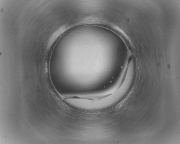 X0000073901461200609082136