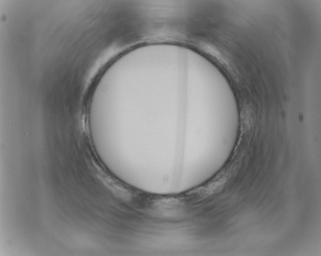 X0000073901462200609082136