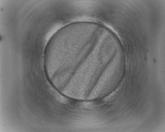 X0000073901463200609082136